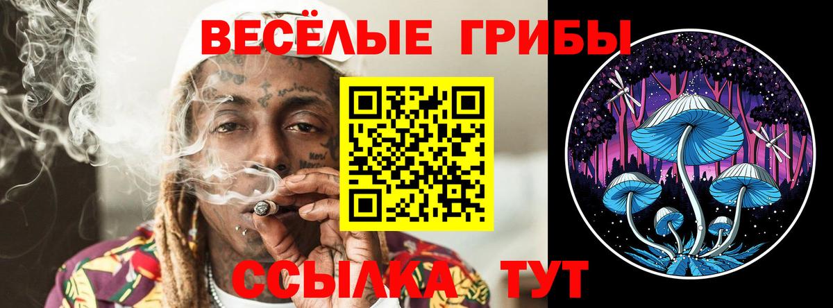 Галлюциногенные грибы ЛСД Шелехов
