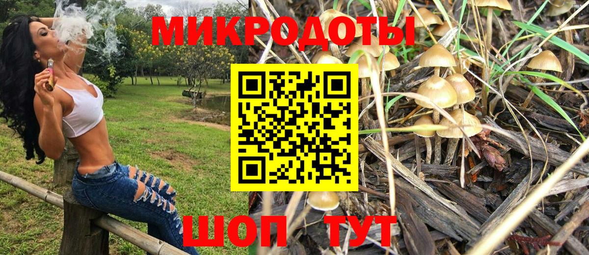 Шелехов  Псилоцибиновые грибы Psilocybine cubensis  Вход с VPN 